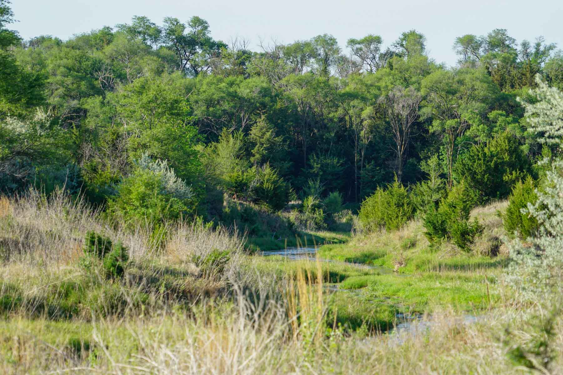 South Fork Ranch property picture 44 of 69