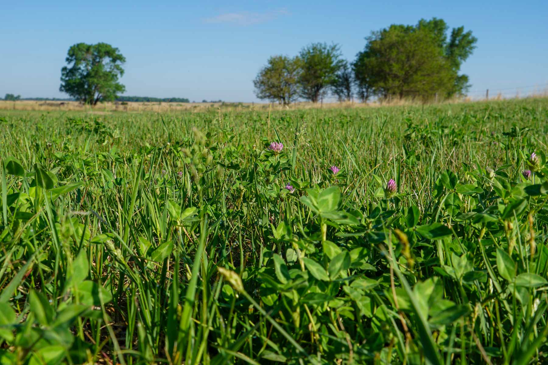 South Fork Ranch property picture 15 of 69