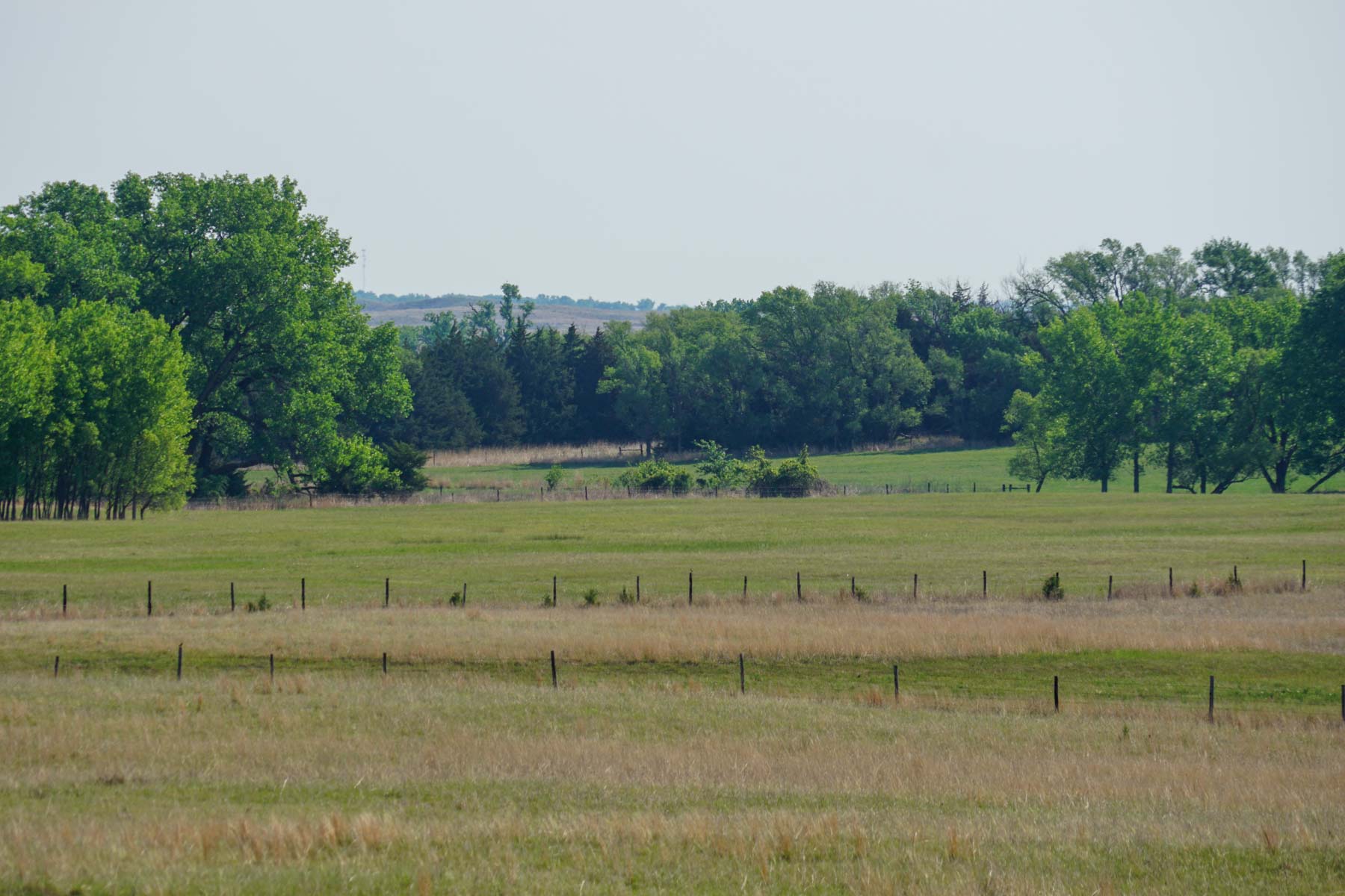 South Fork Ranch property picture 46 of 69
