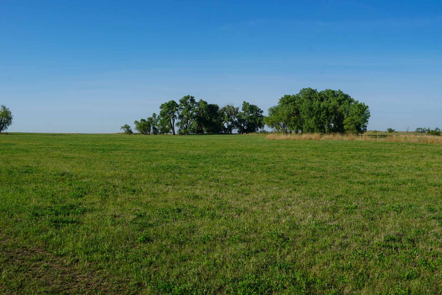 South Fork Ranch property picture 4 of 69
