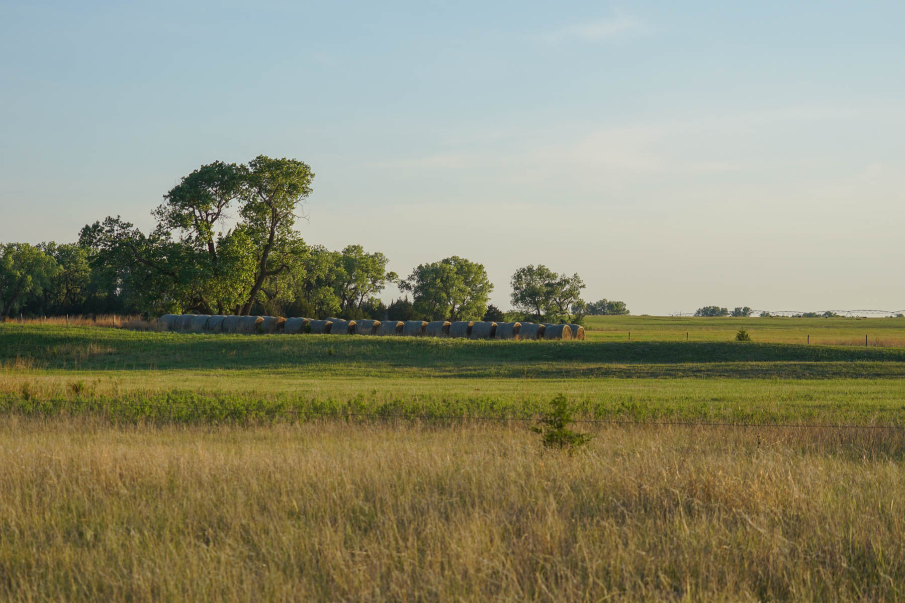 South Fork Ranch property picture 34 of 69