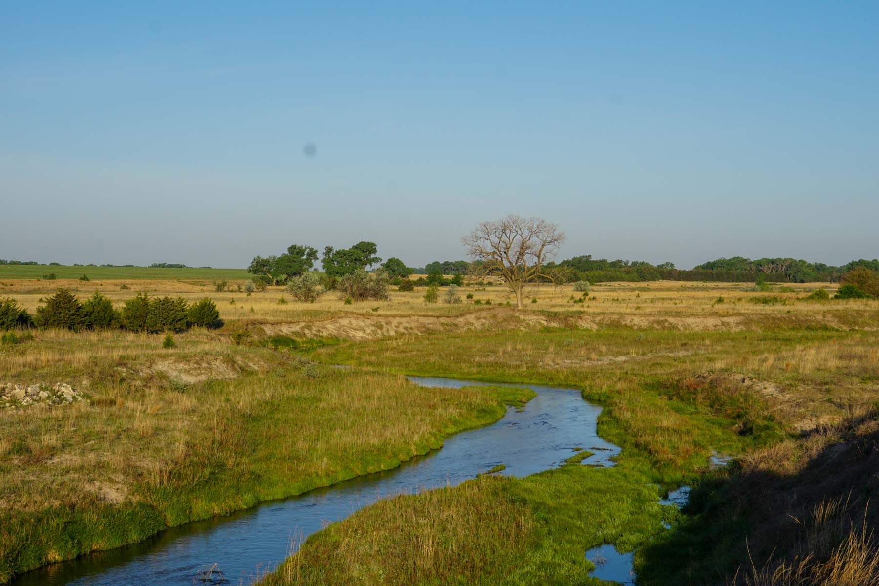 South Fork Ranch property picture 43 of 69