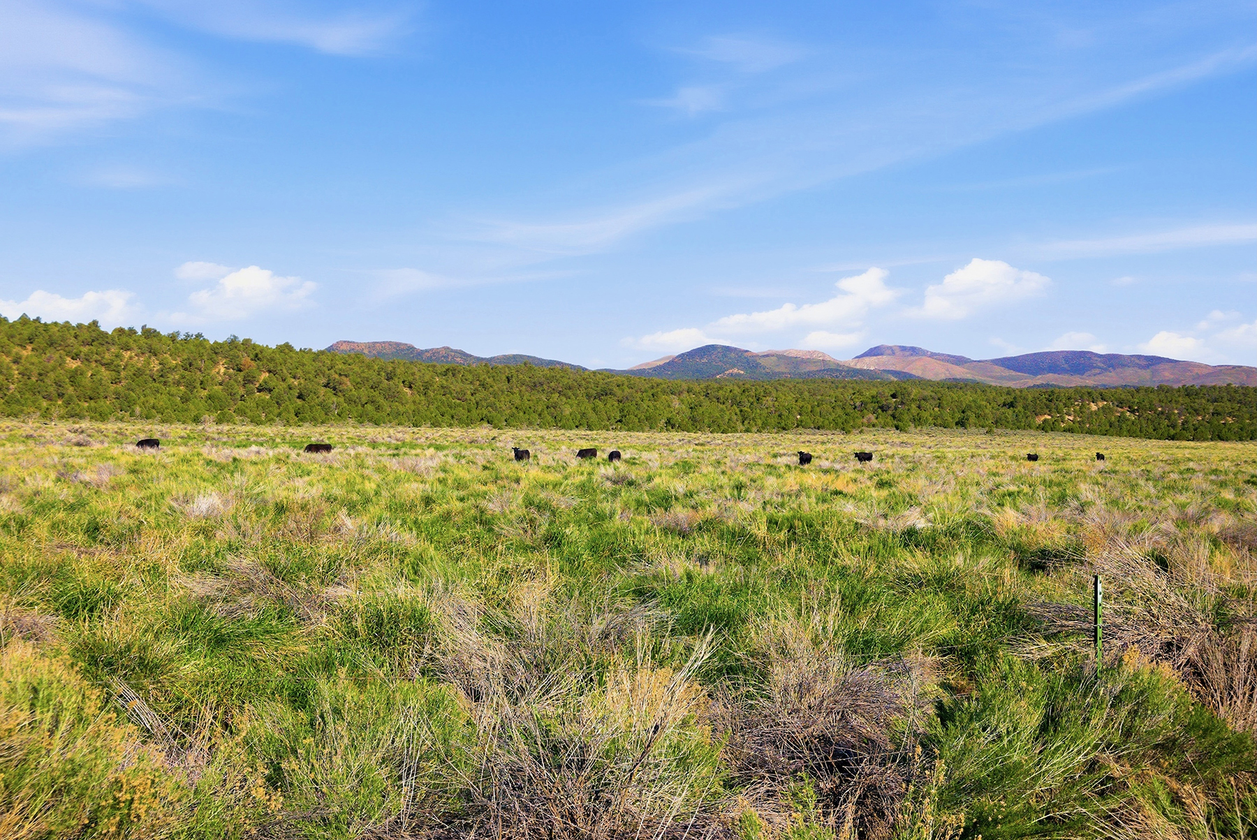 Cave Valley Ranch property picture 68 of 132