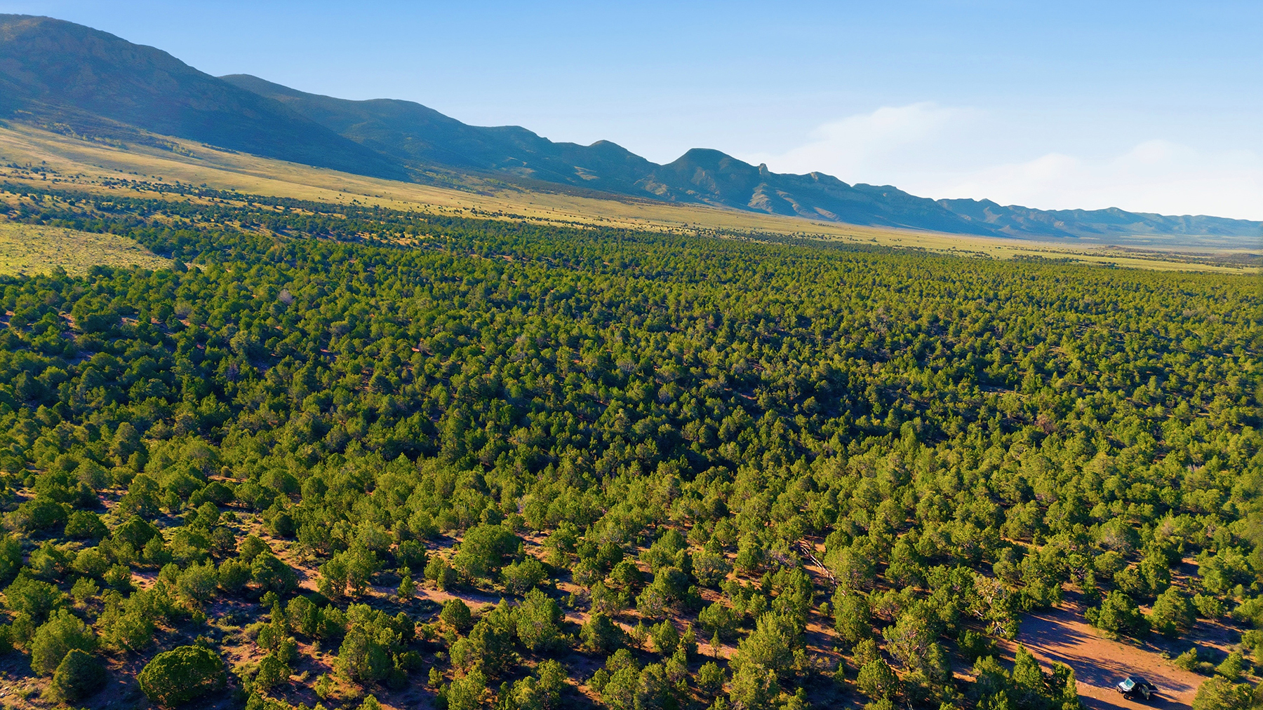 Cave Valley Ranch property picture 7 of 132