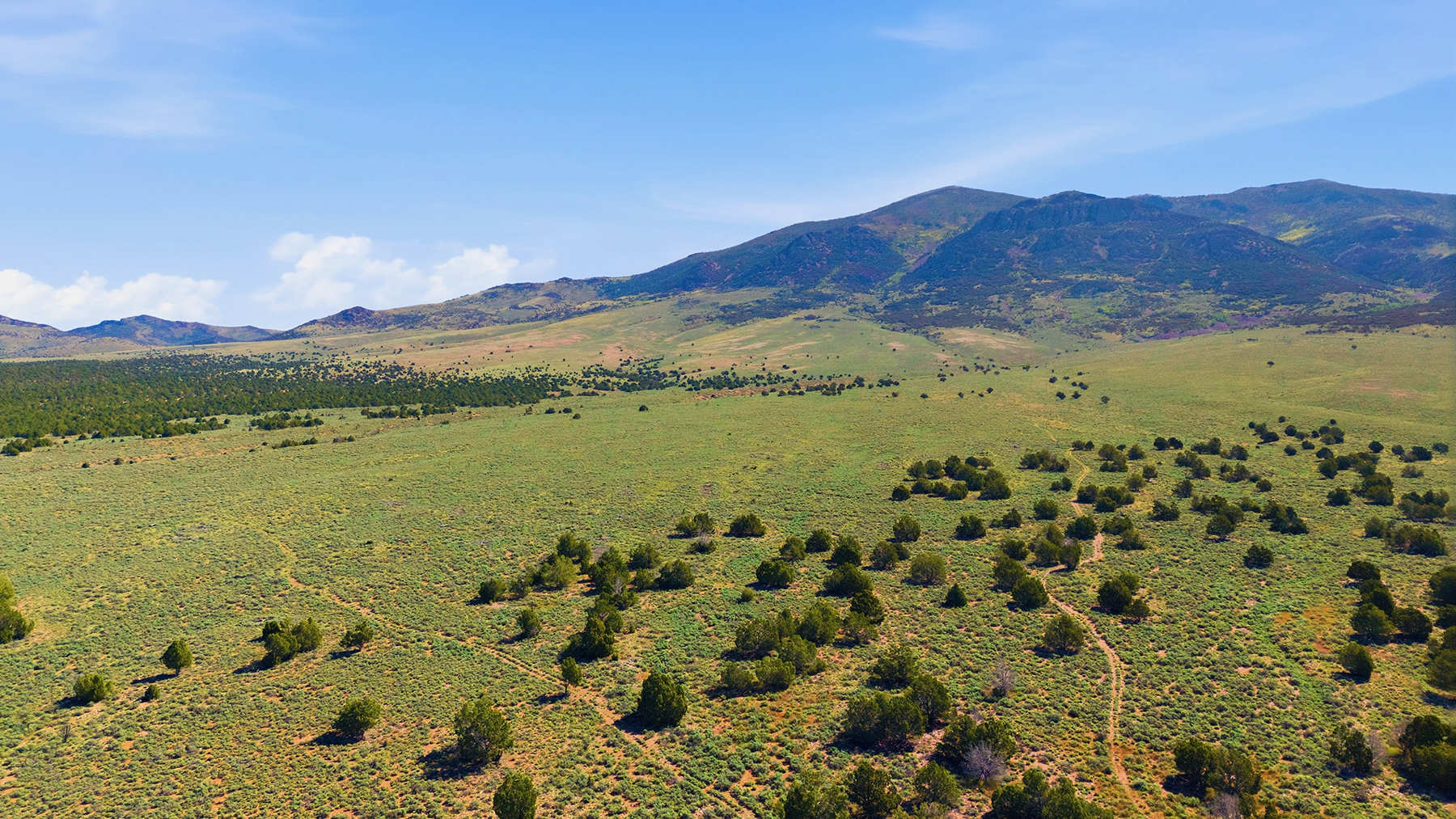 Cave Valley Ranch property picture 60 of 132