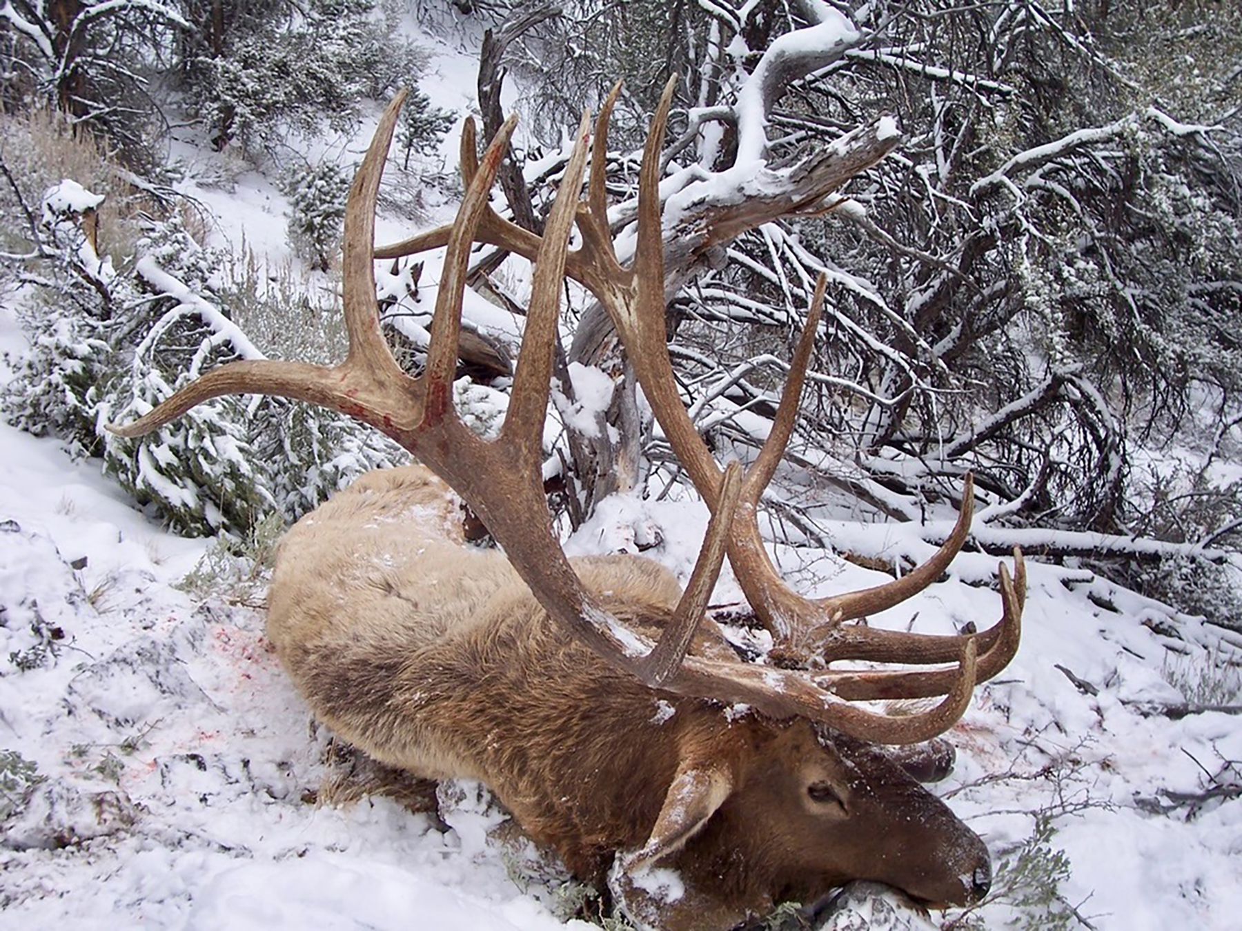 Cave Valley Ranch property picture 2 of 132