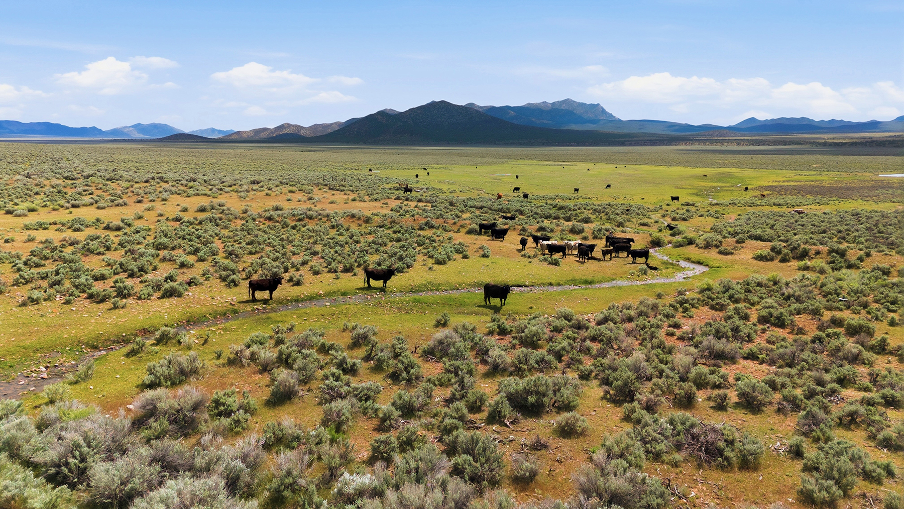Cave Valley Ranch property picture 75 of 132