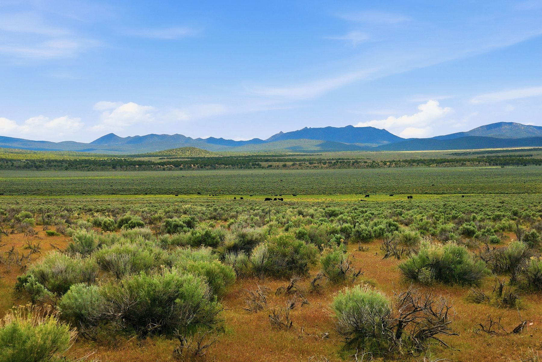 Cave Valley Ranch property picture 70 of 132