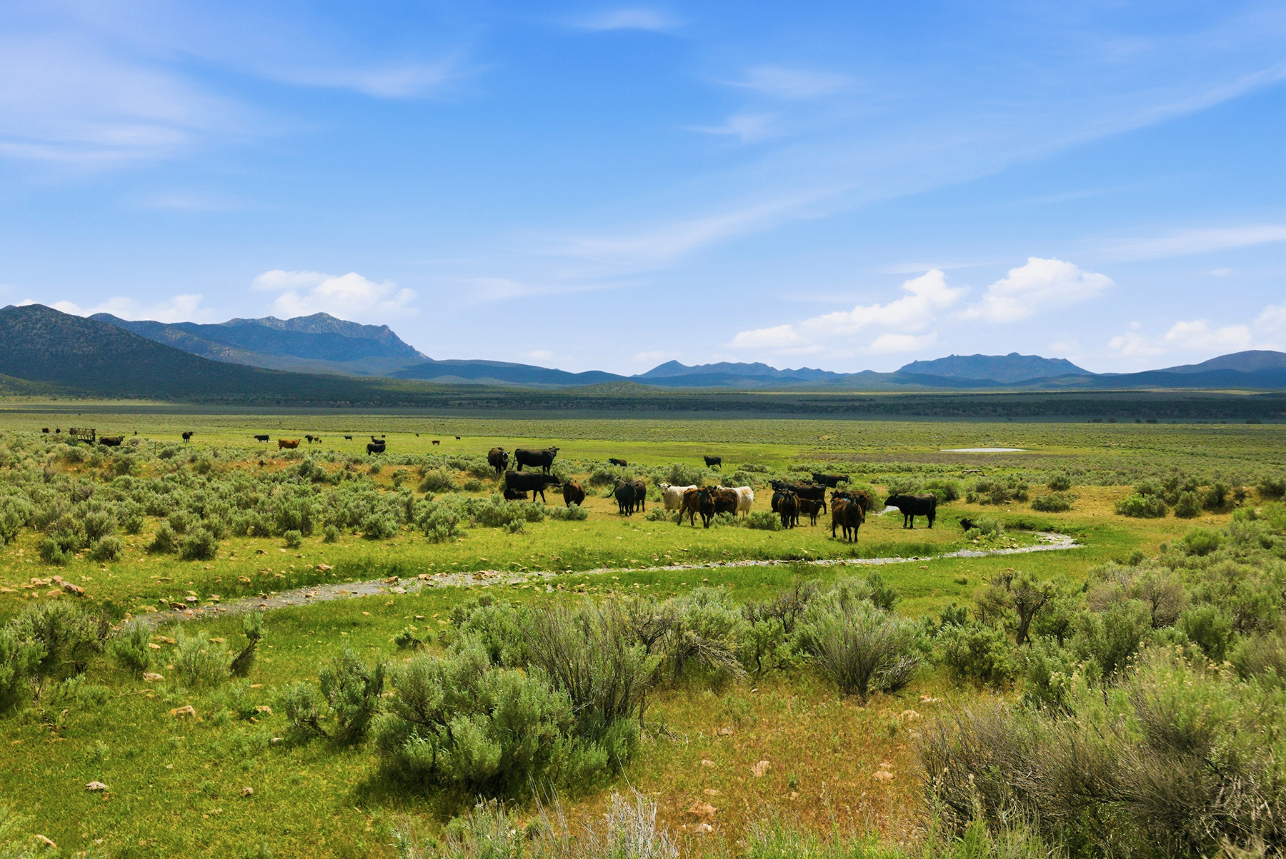Cave Valley Ranch property picture 71 of 132