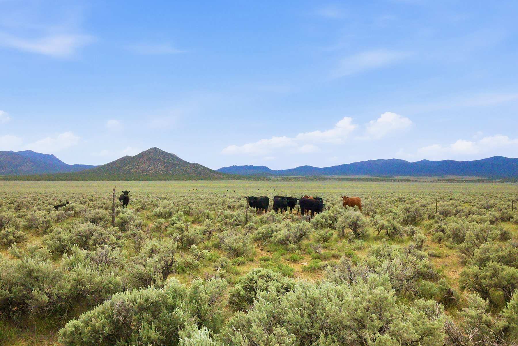 Cave Valley Ranch property picture 69 of 132