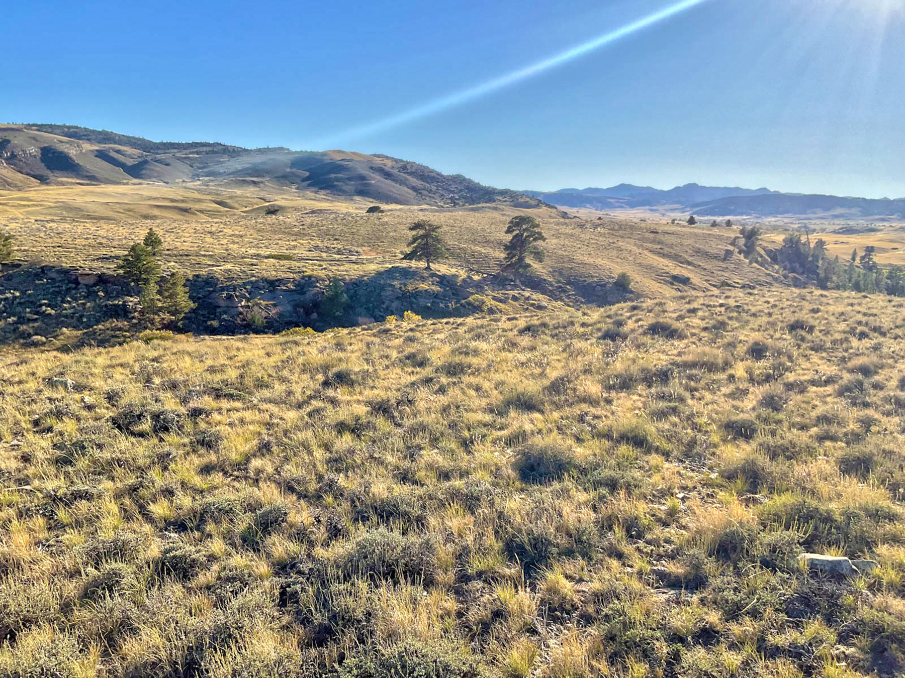 Cold Springs Sanctuary property picture 15 of 20