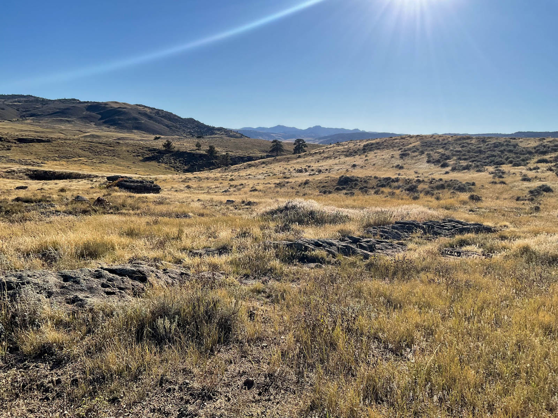 Cold Springs Sanctuary property picture 17 of 20