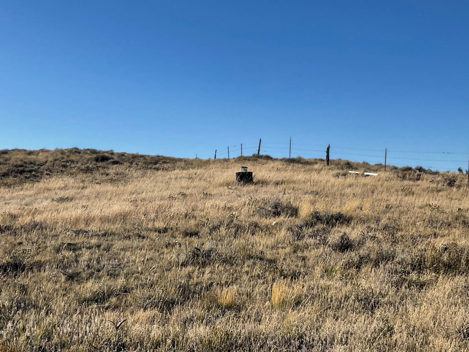 Cold Springs Sanctuary property picture 14 of 20