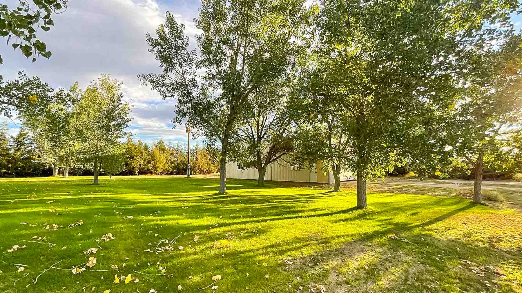 Bluffview Country Homestead property picture 11 of 25