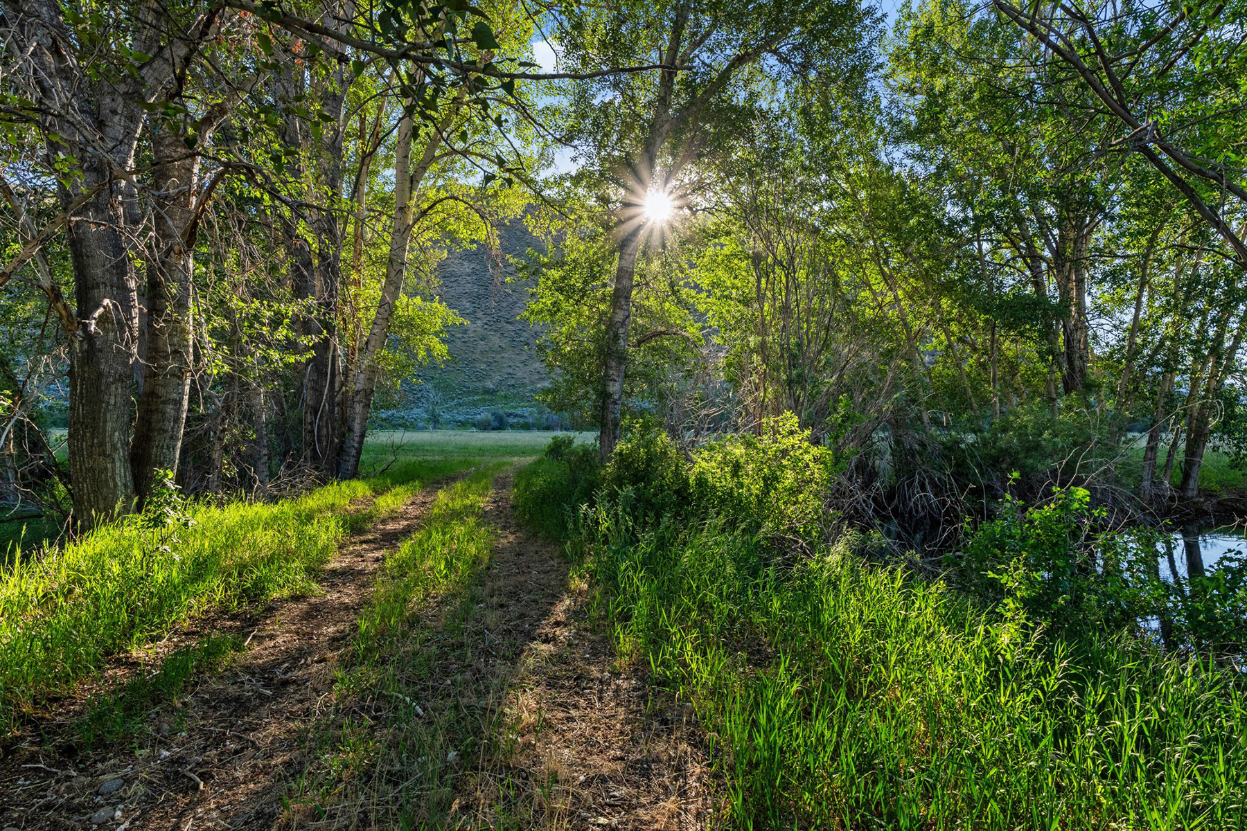 Emerald Meadows Ranch property picture 64 of 75