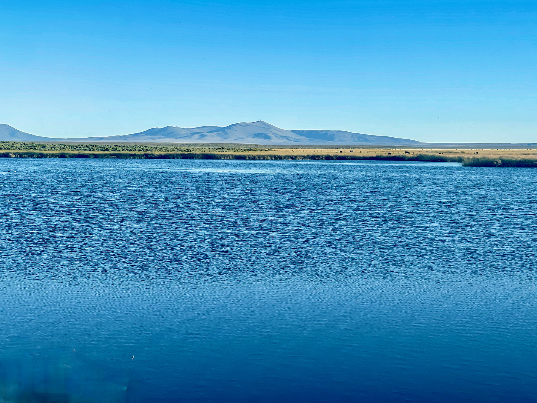 Headwater Ranch property picture 75 of 98