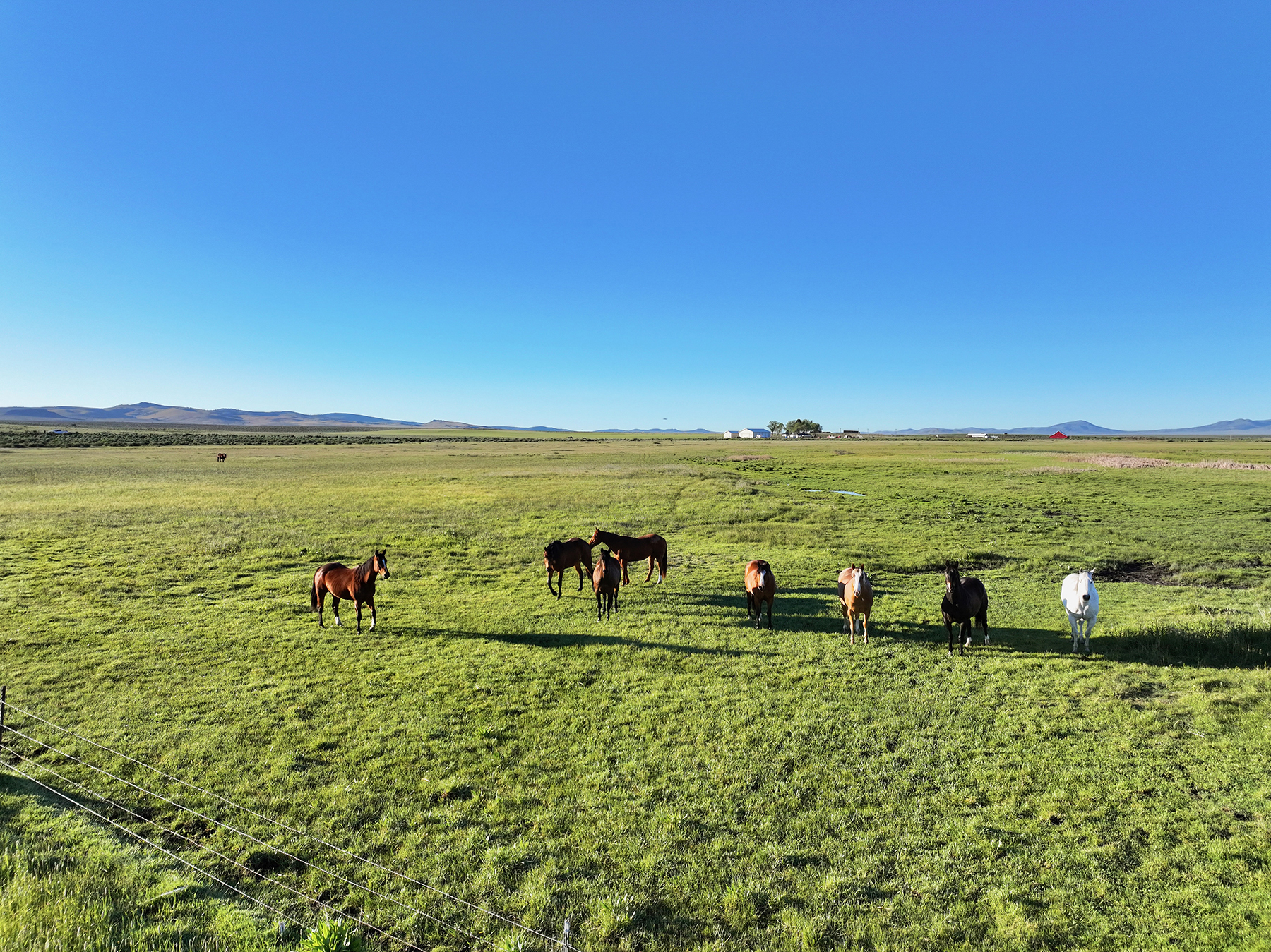 Headwater Ranch property picture 53 of 98