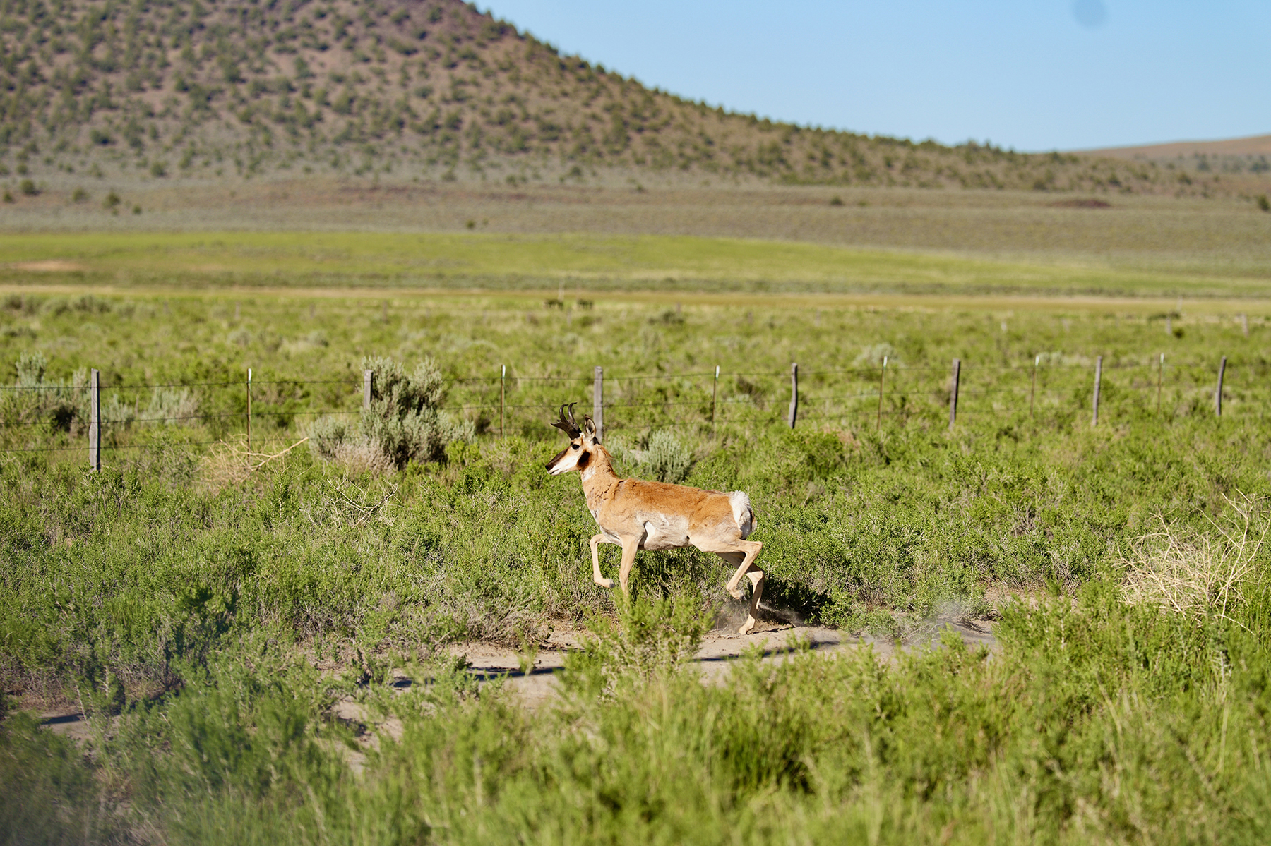 Headwater Ranch property picture 69 of 98
