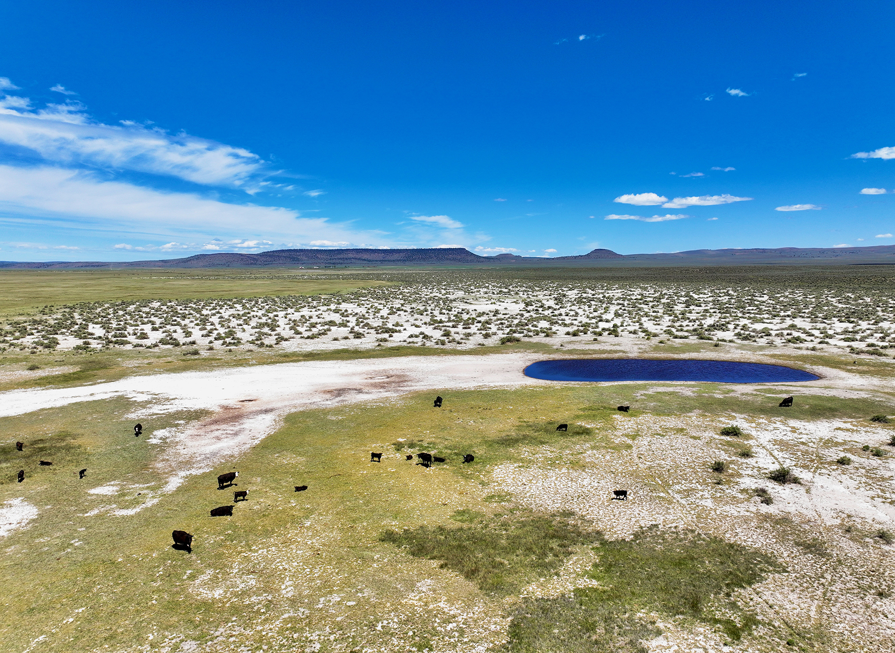 Headwater Ranch property picture 14 of 98
