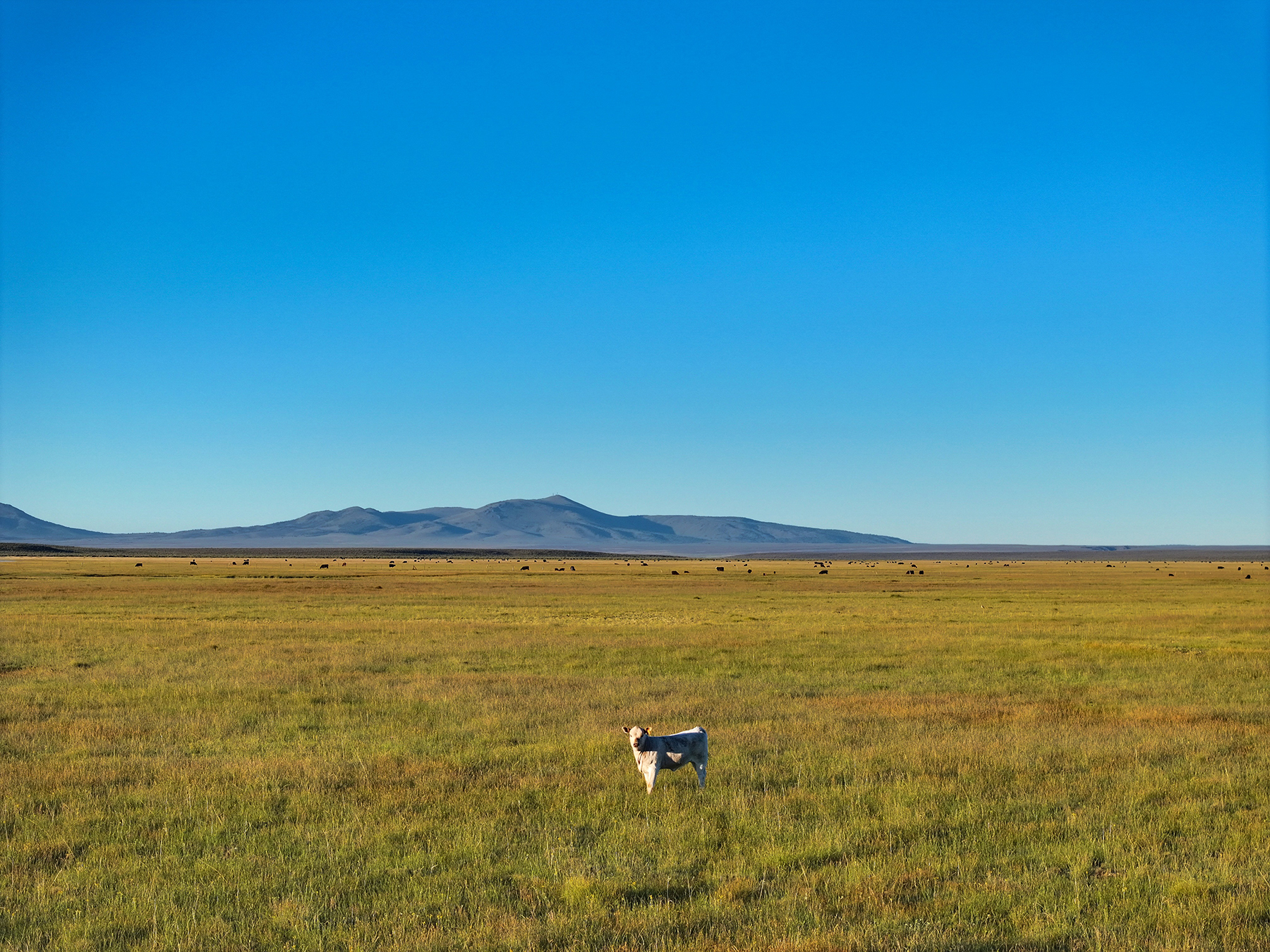 Headwater Ranch property picture 54 of 98