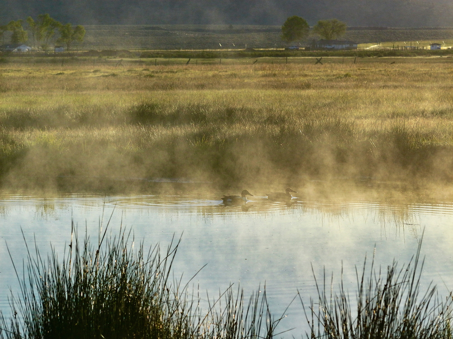 Headwater Ranch property picture 70 of 98