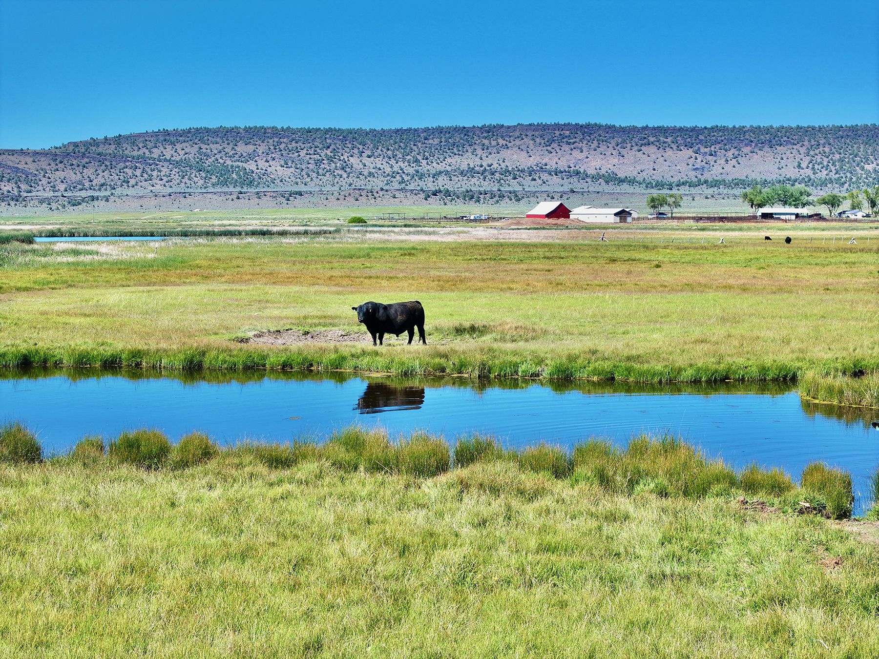 Headwater Ranch property picture 84 of 98