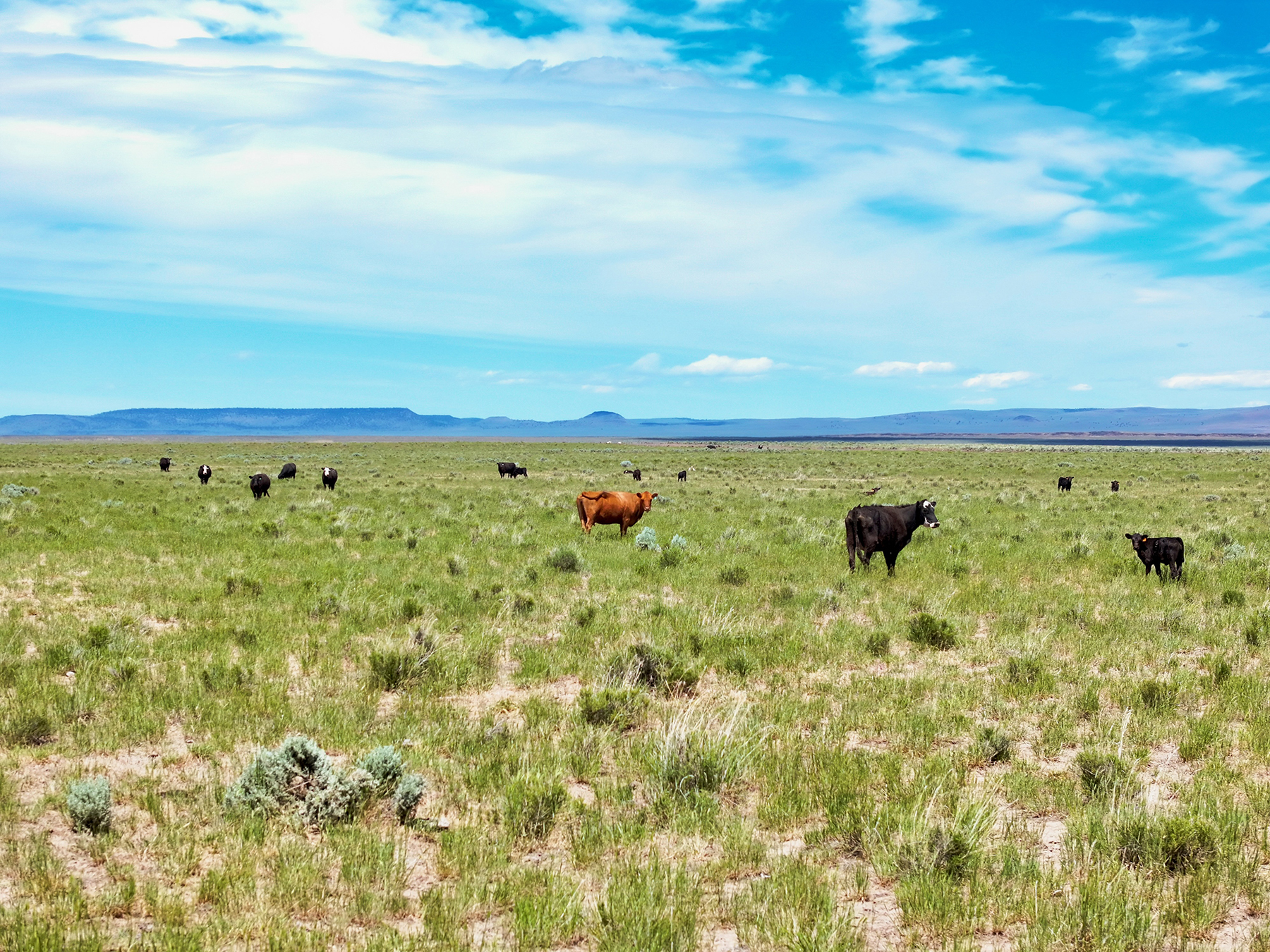 Headwater Ranch property picture 13 of 98