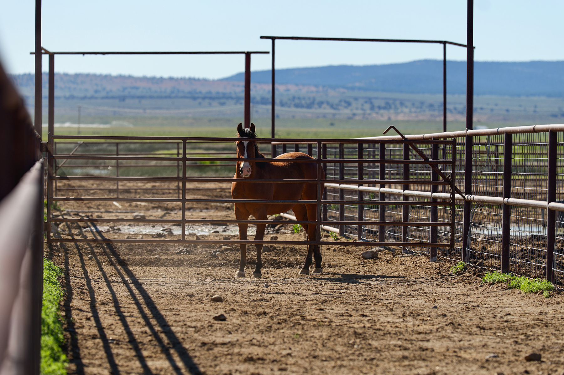 Headwater Ranch property picture 81 of 98
