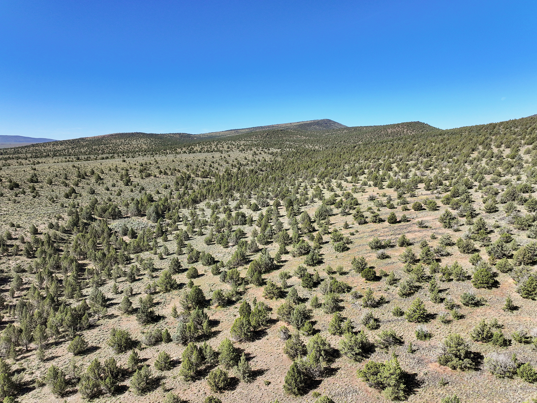 Headwater Ranch property picture 50 of 98