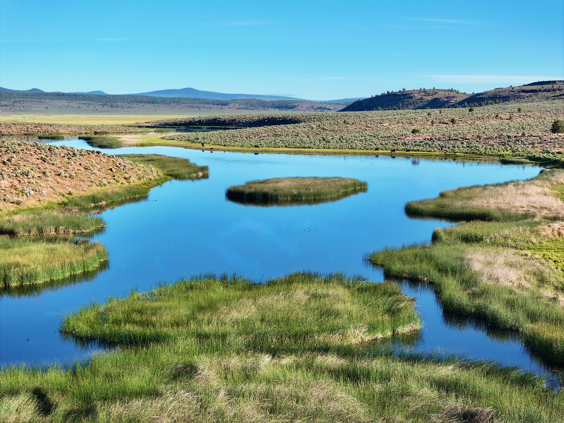 Headwater Ranch property picture 7 of 98