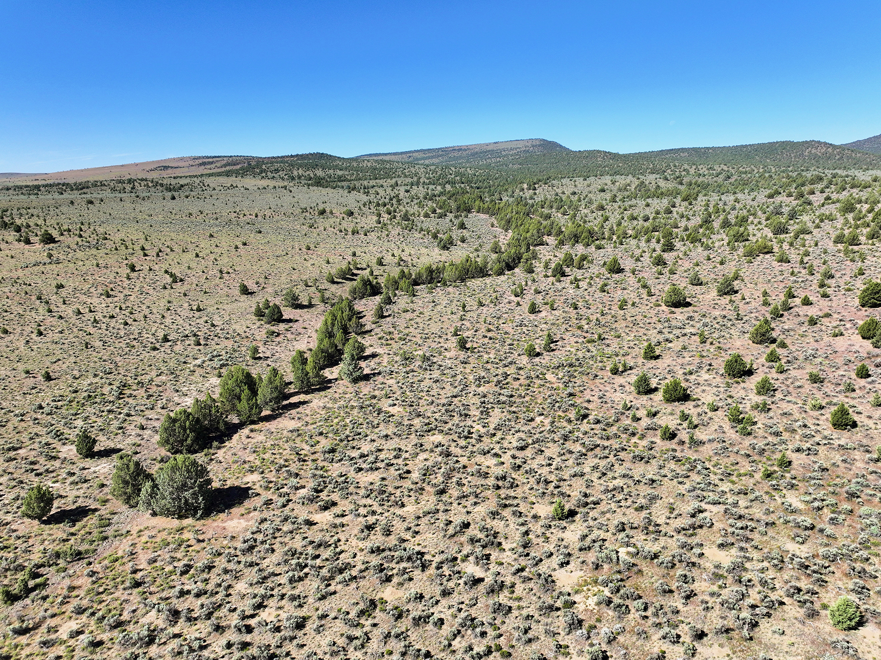 Headwater Ranch property picture 48 of 98