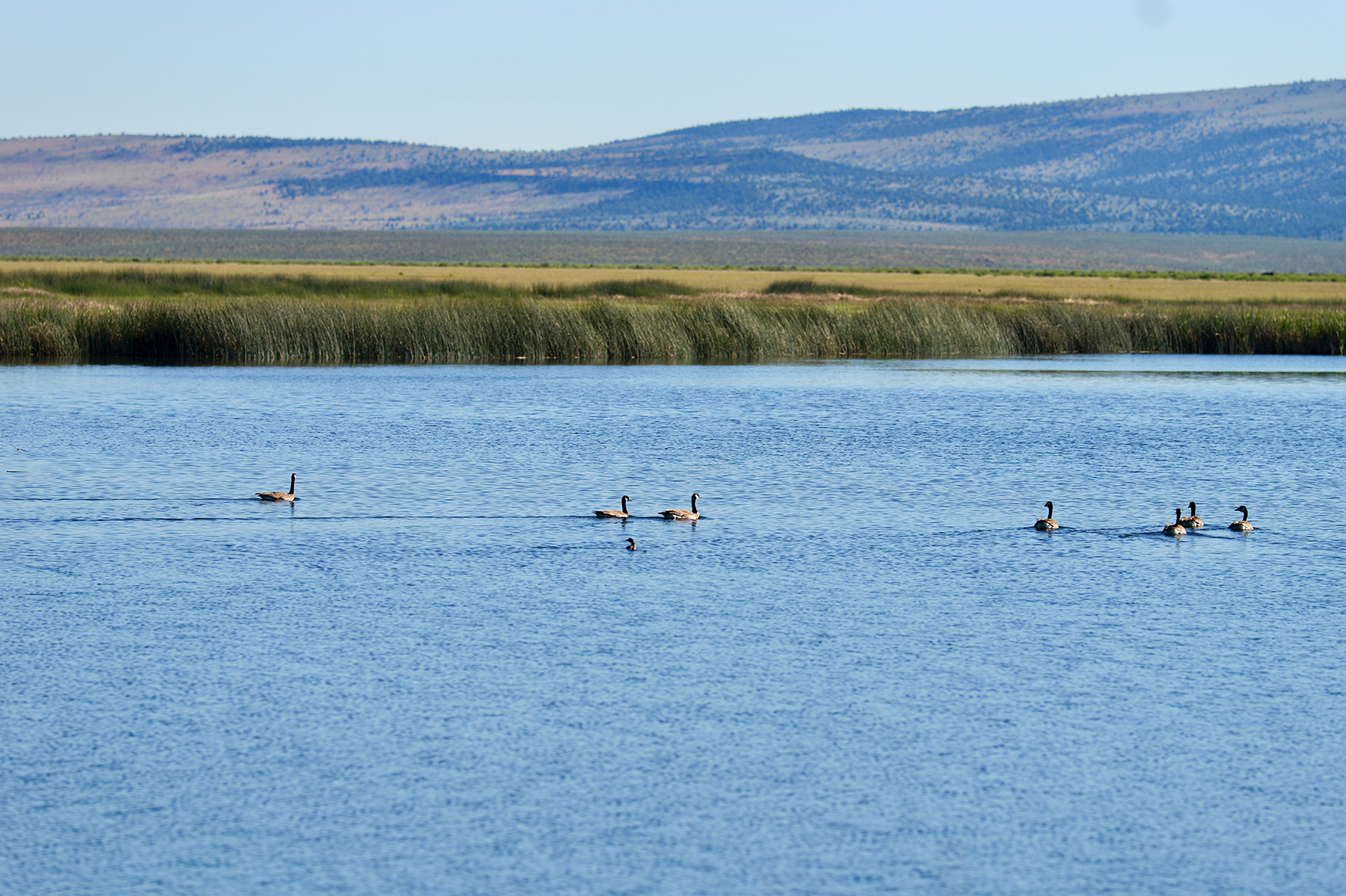 Headwater Ranch property picture 71 of 98
