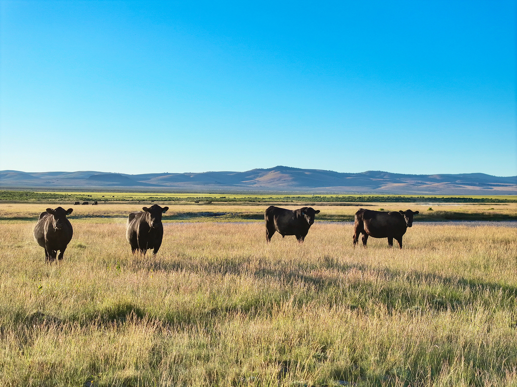 Headwater Ranch property picture 15 of 98