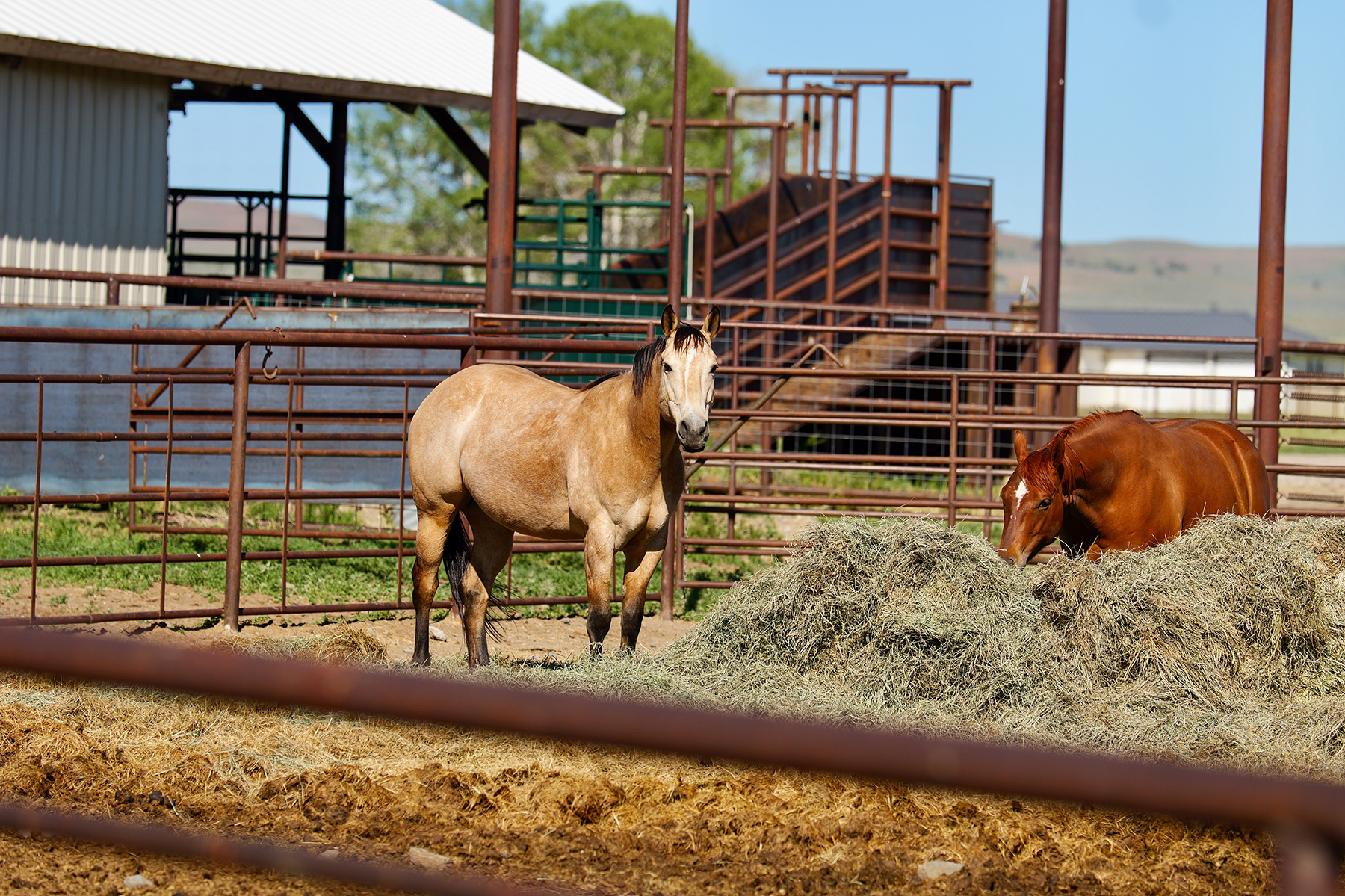 Headwater Ranch property picture 82 of 98