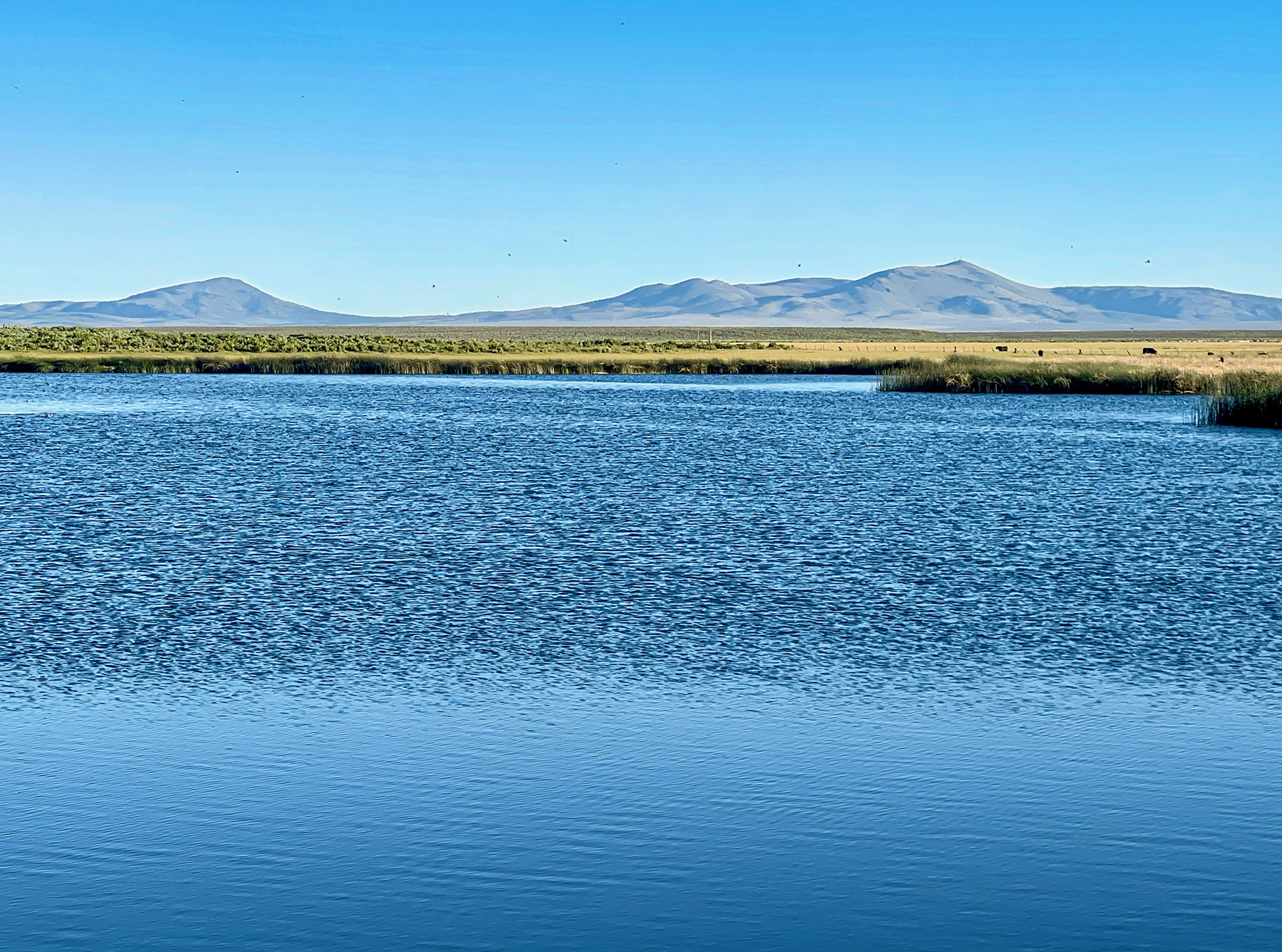 Headwater Ranch property picture 12 of 98