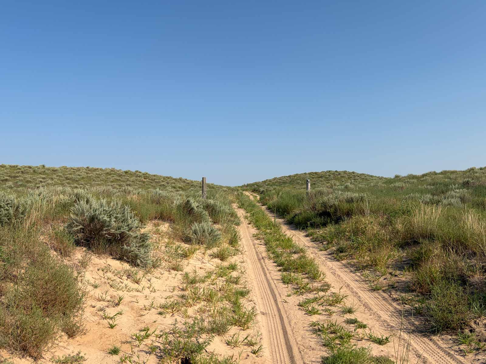 Oasis Irrigated, Pasture and Hunting Land property picture 23 of 39