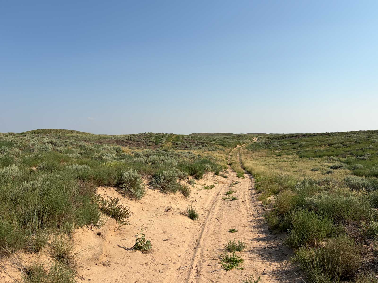 Oasis Irrigated, Pasture and Hunting Land property picture 35 of 39