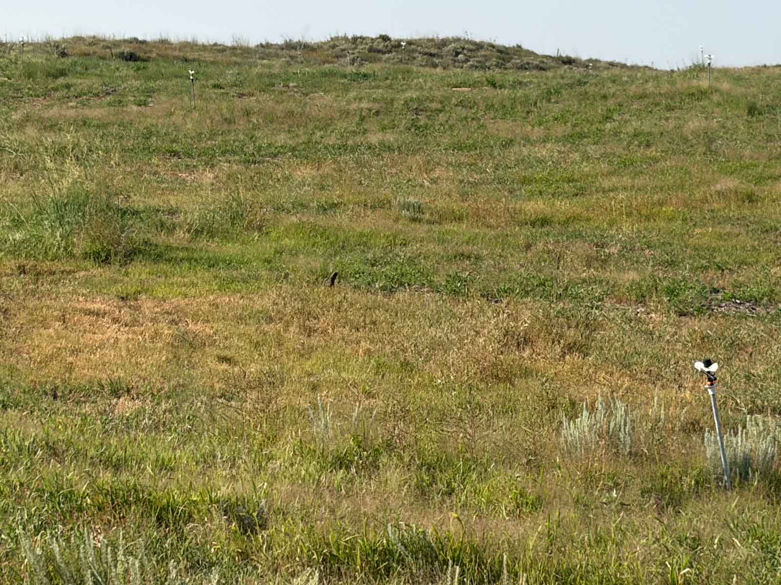 Oasis Irrigated, Pasture and Hunting Land property picture 12 of 39