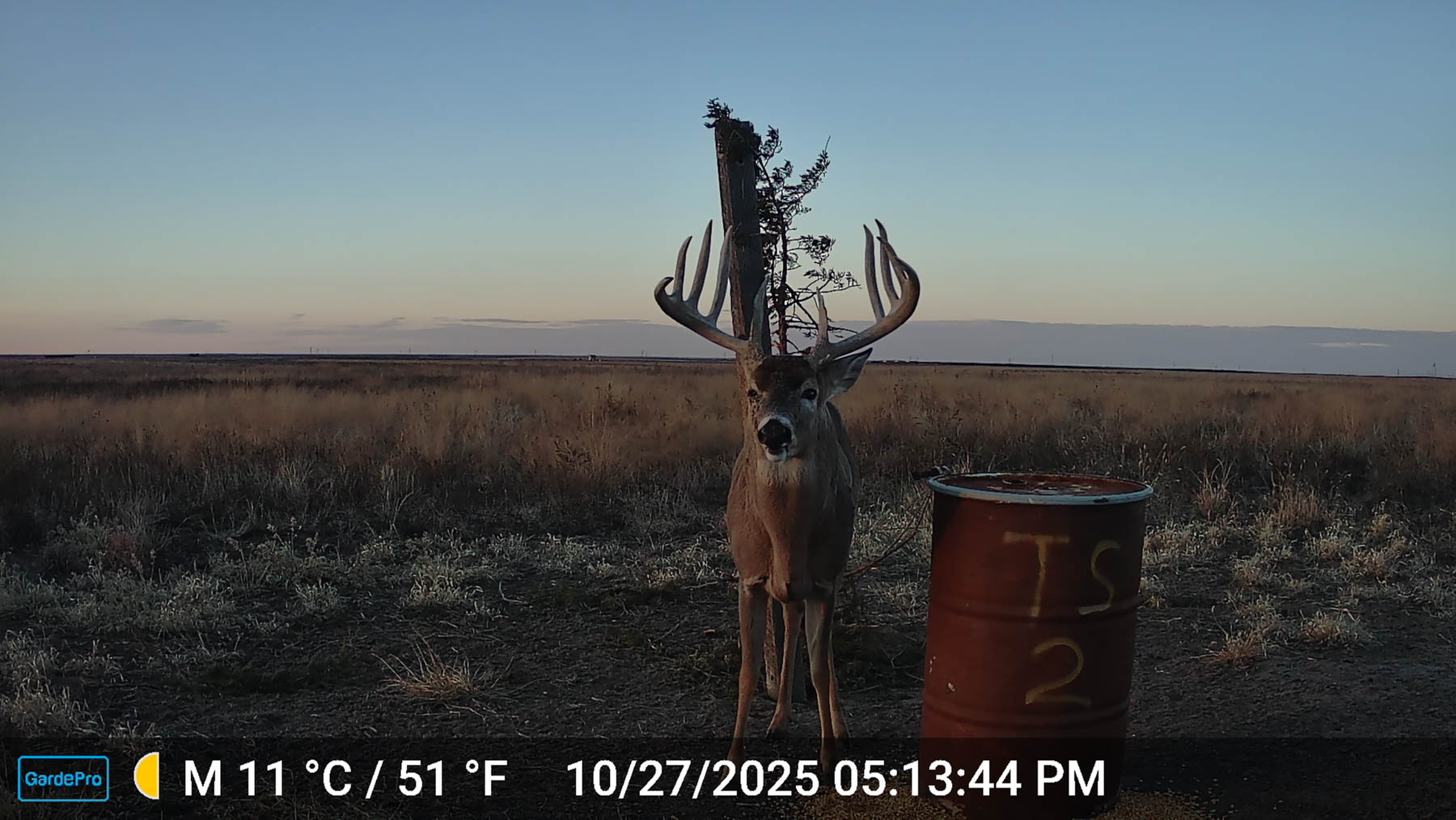 Oasis Irrigated, Pasture and Hunting Land property picture 1 of 39