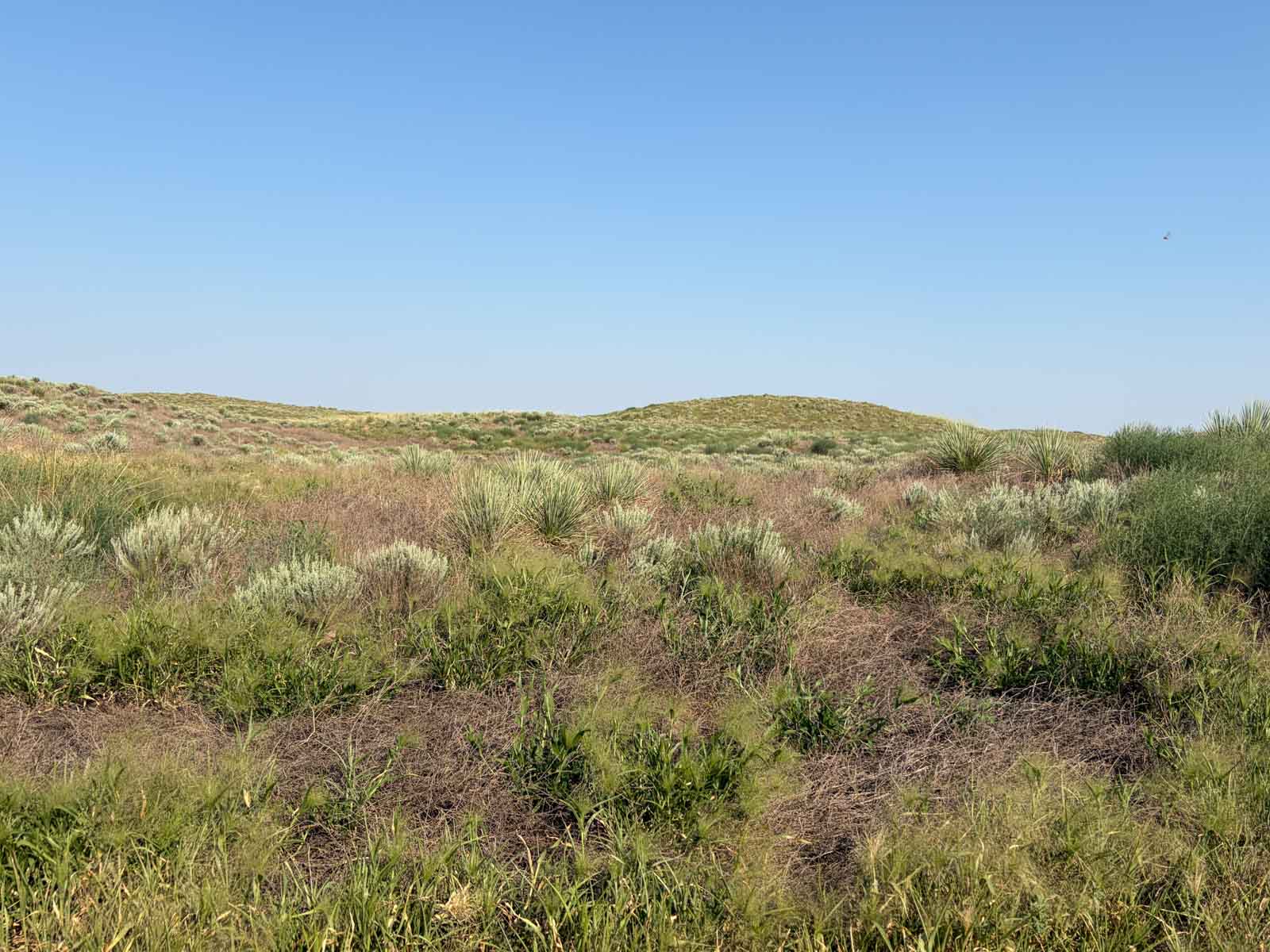 Oasis Irrigated, Pasture and Hunting Land property picture 36 of 39