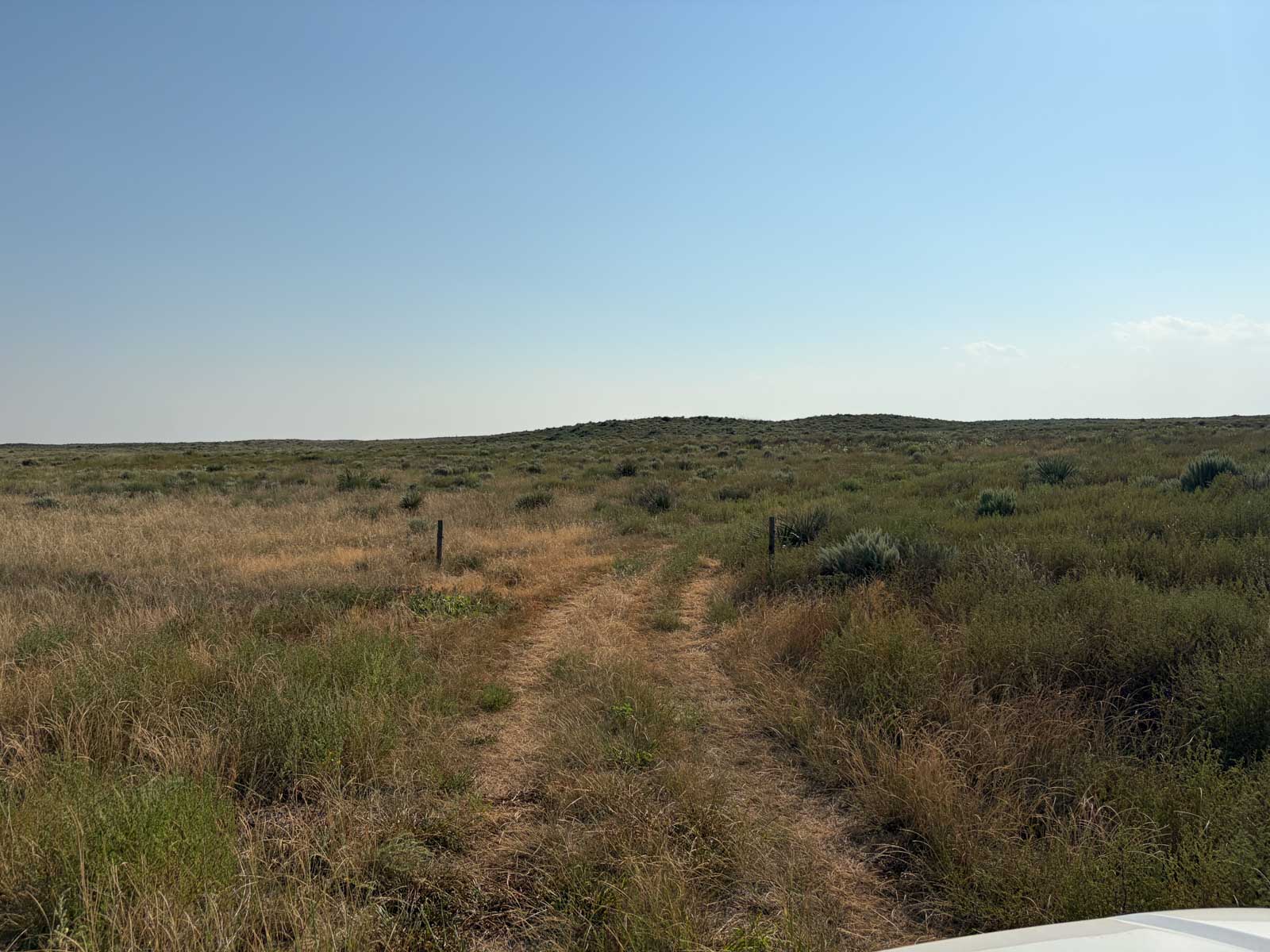 Oasis Irrigated, Pasture and Hunting Land property picture 15 of 39