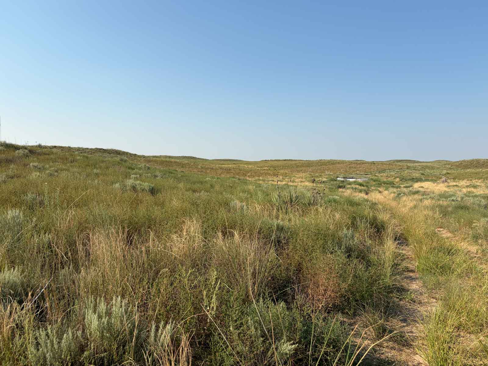 Oasis Irrigated, Pasture and Hunting Land property picture 7 of 39
