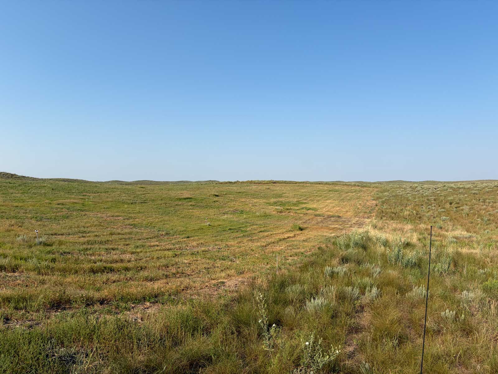 Oasis Irrigated, Pasture and Hunting Land property picture 10 of 39