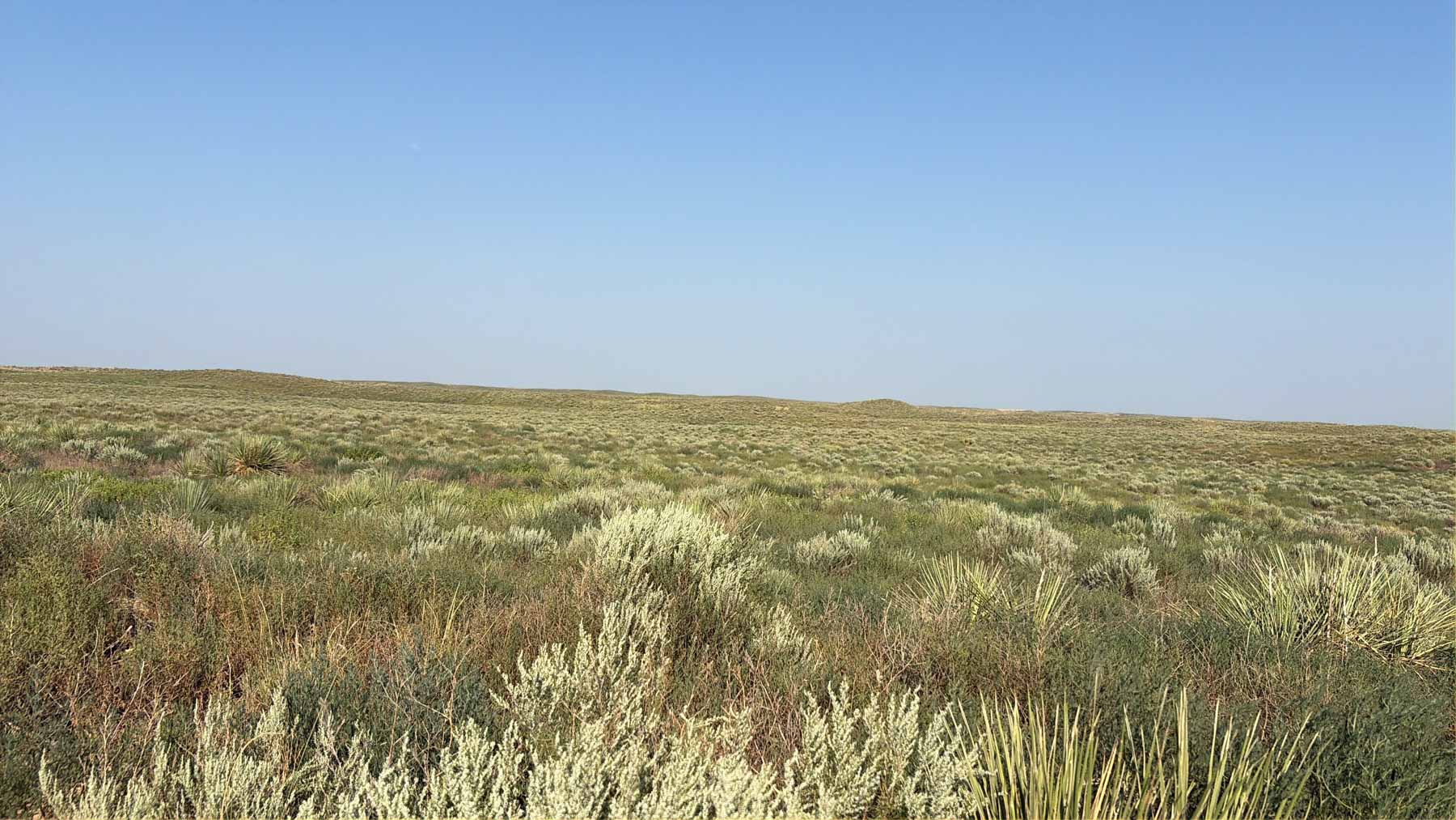 Oasis Irrigated, Pasture and Hunting Land property picture 19 of 39