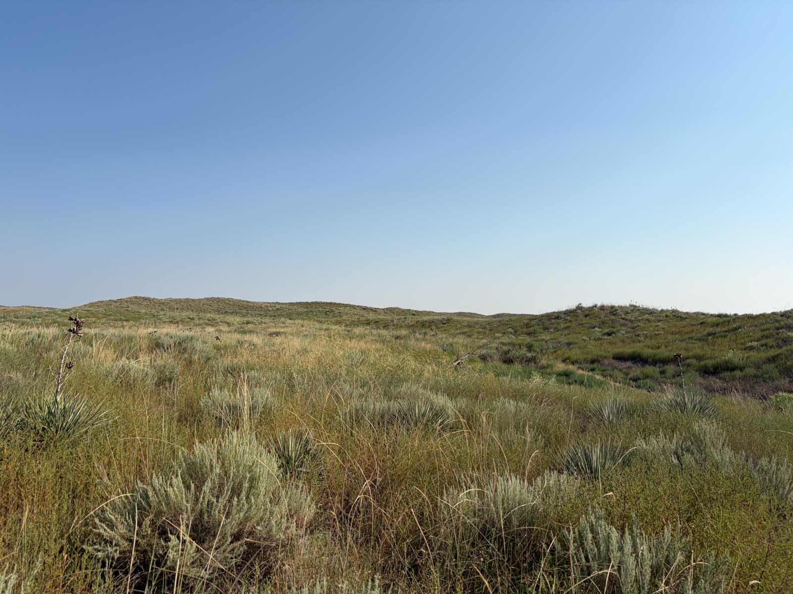 Oasis Irrigated, Pasture and Hunting Land property picture 2 of 39