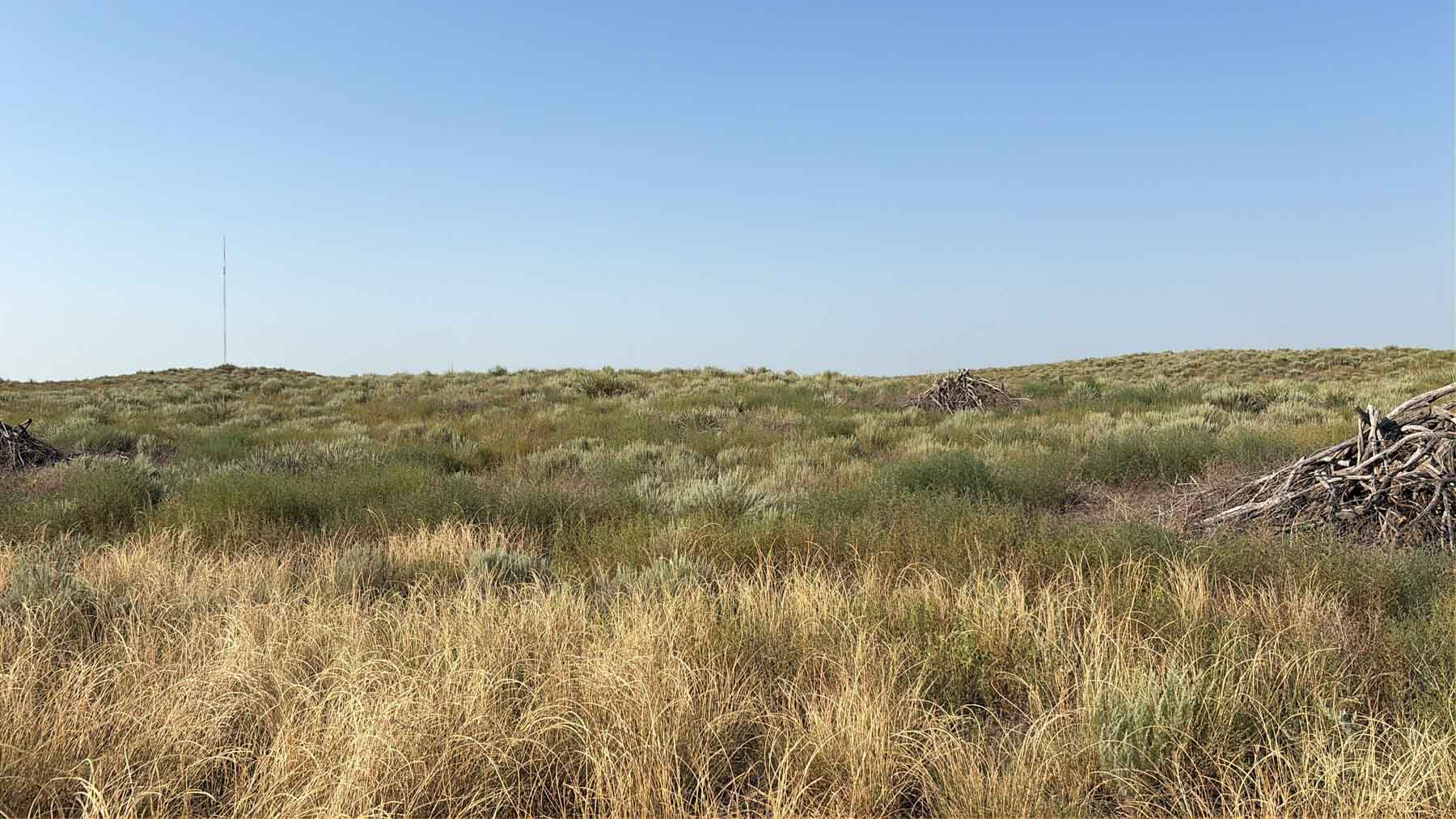 Oasis Irrigated, Pasture and Hunting Land property picture 17 of 39