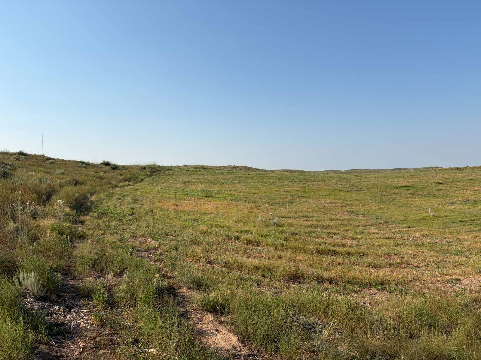 Oasis Irrigated, Pasture and Hunting Land property picture 11 of 39