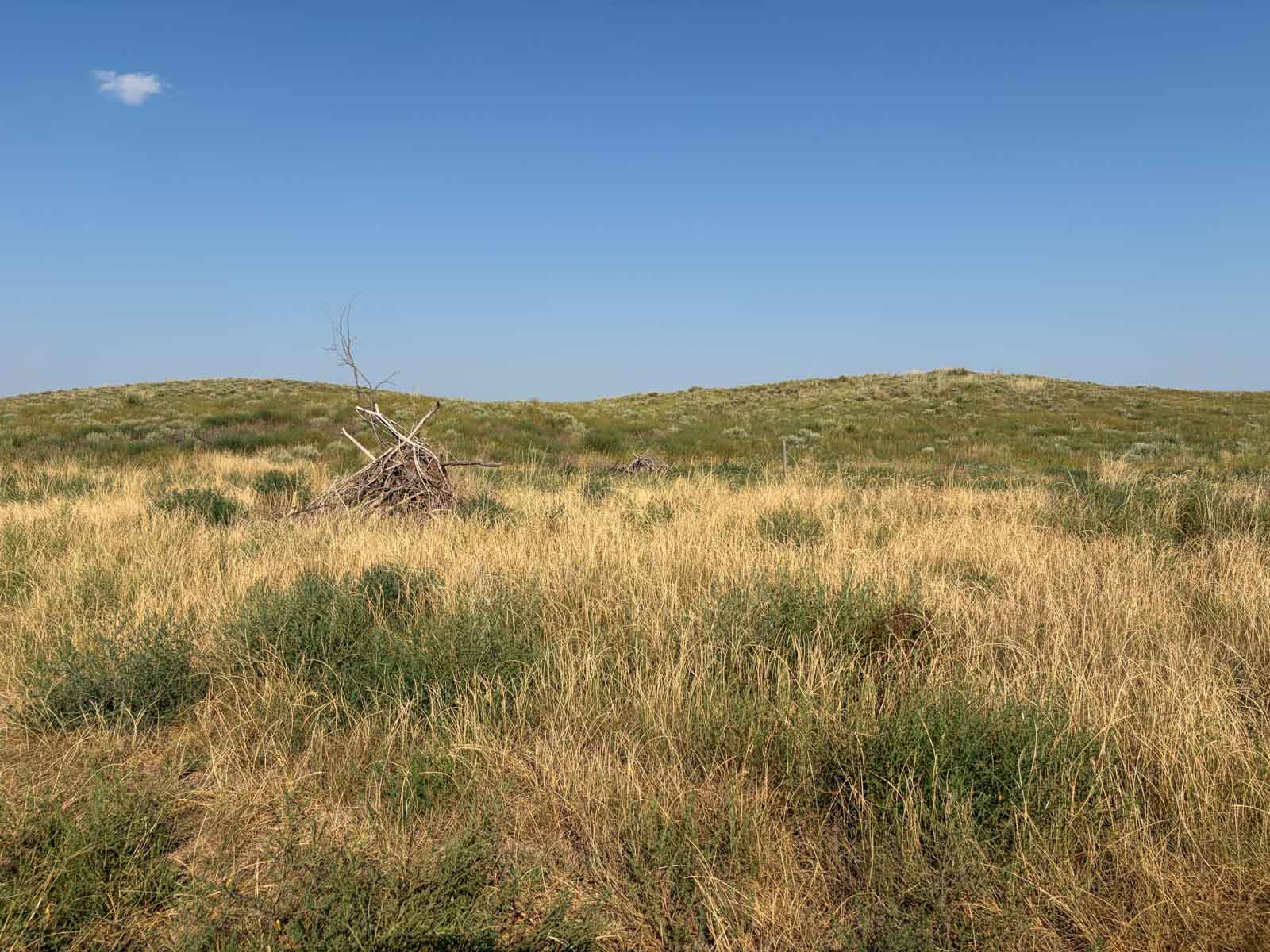 Oasis Irrigated, Pasture and Hunting Land property picture 9 of 39