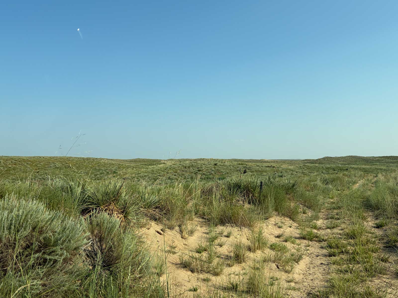 Oasis Irrigated, Pasture and Hunting Land property picture 4 of 39
