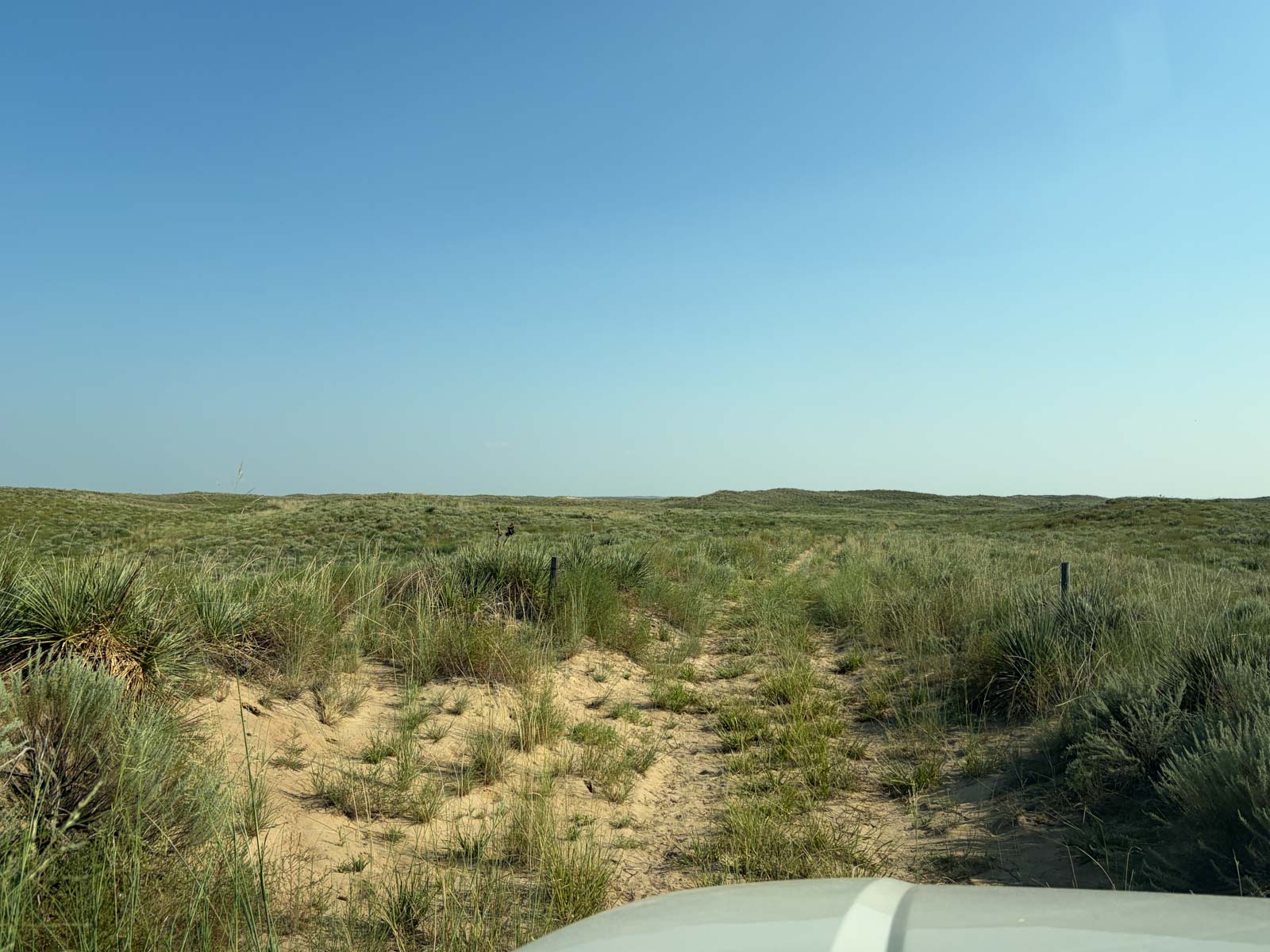 Oasis Irrigated, Pasture and Hunting Land property picture 37 of 39